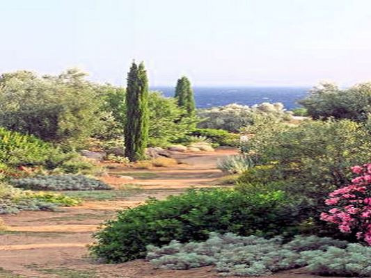 ♥♥♥ PARC DE SALECCIA