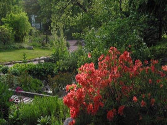 Grand Est Vosges Jardin D Altitude Du Haut Chitelet Des Jardins Remarquables En France