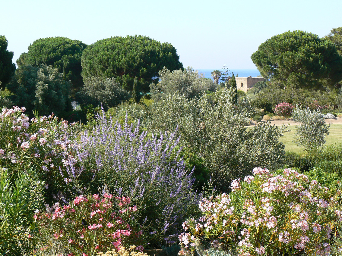 ♥♥♥ PARC DE SALECCIA
