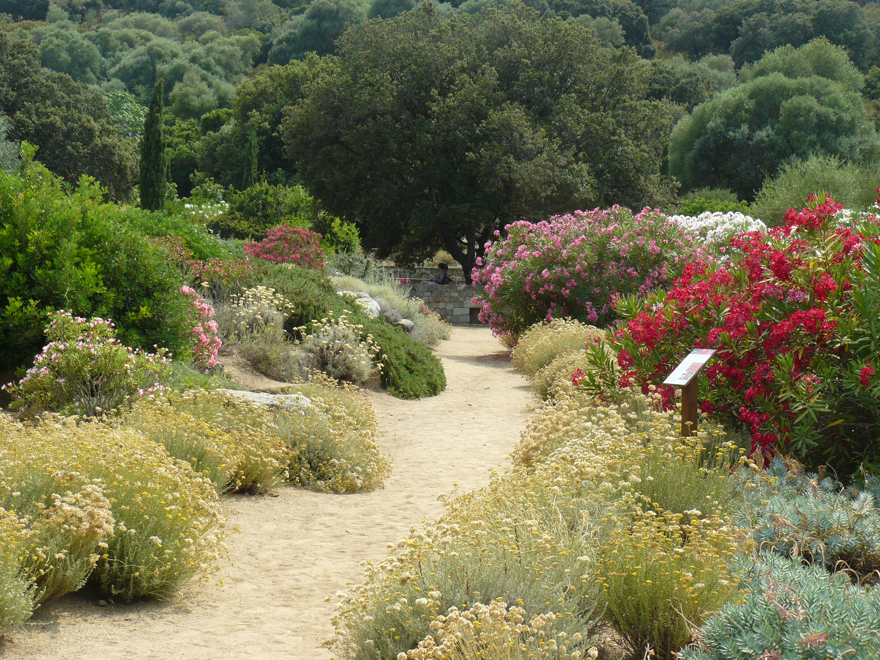 ♥♥♥ PARC DE SALECCIA
