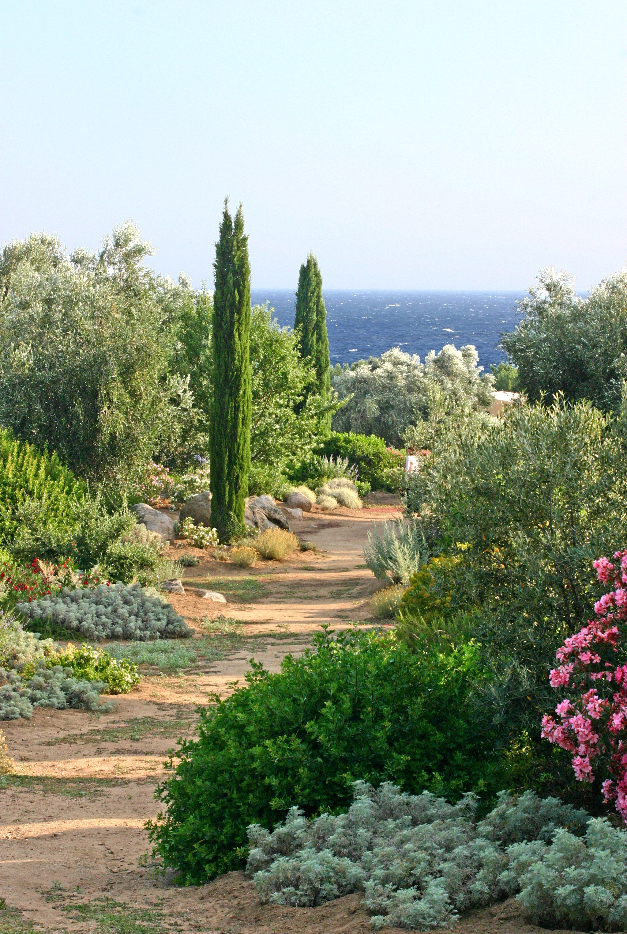 ♥♥♥ PARC DE SALECCIA