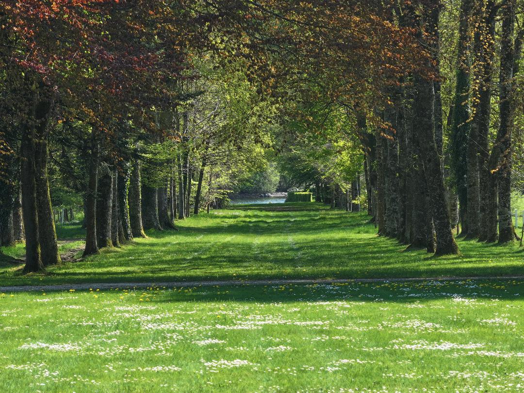 ♥♥♥ PARC DU CHATEAU DE CHAMP DE LA PIERRE