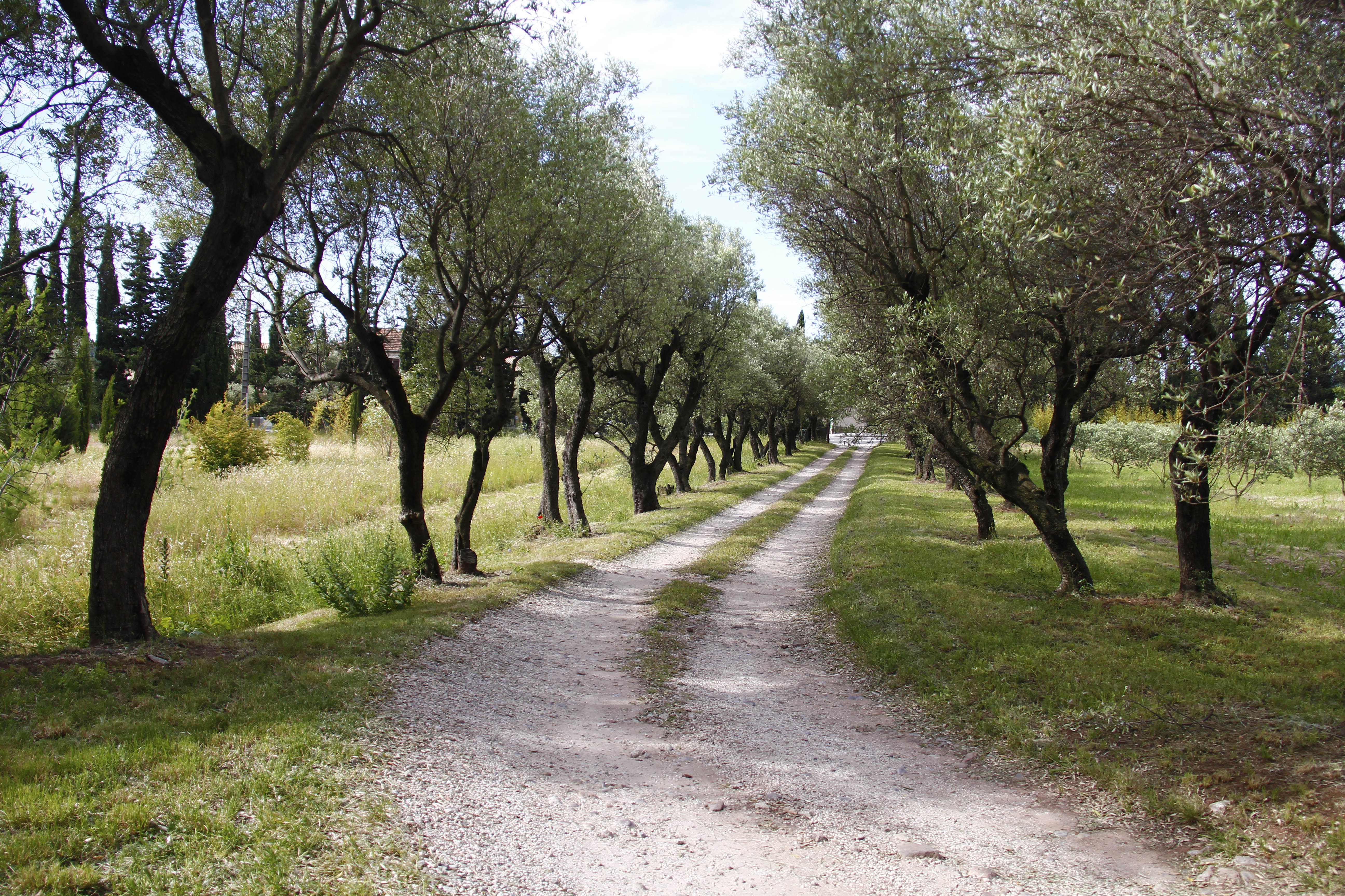 ♥♥♥ Jardin Remarquable du DOMAINE D'ORVES